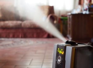 whole home humidifier